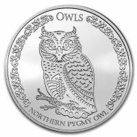 Tokelau 5 NZD Northern Pygmy Owl 2021 1 Oz Silber
